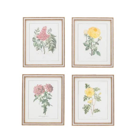 Cedar & Sage Set of 4 Floral Quartet Framed Prints