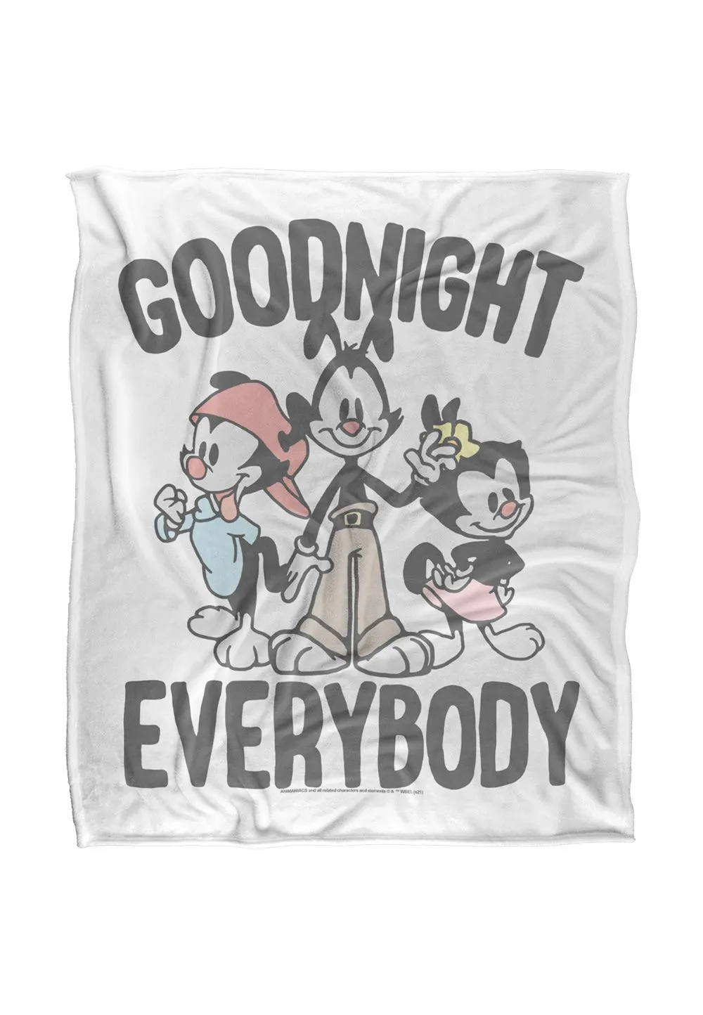 Warner Brothers Animaniacs 152x127cm The Siblings Silky Touch Super Soft Throw Blanket in White