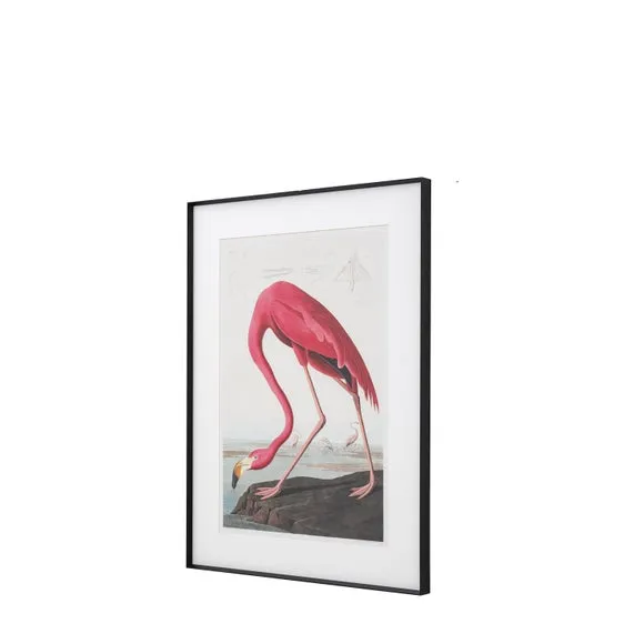 Cedar & Sage Wading Flamingo Framed Print 5