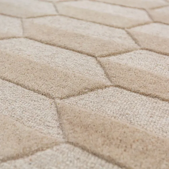 Mara Chevron Border Wool Rug 2