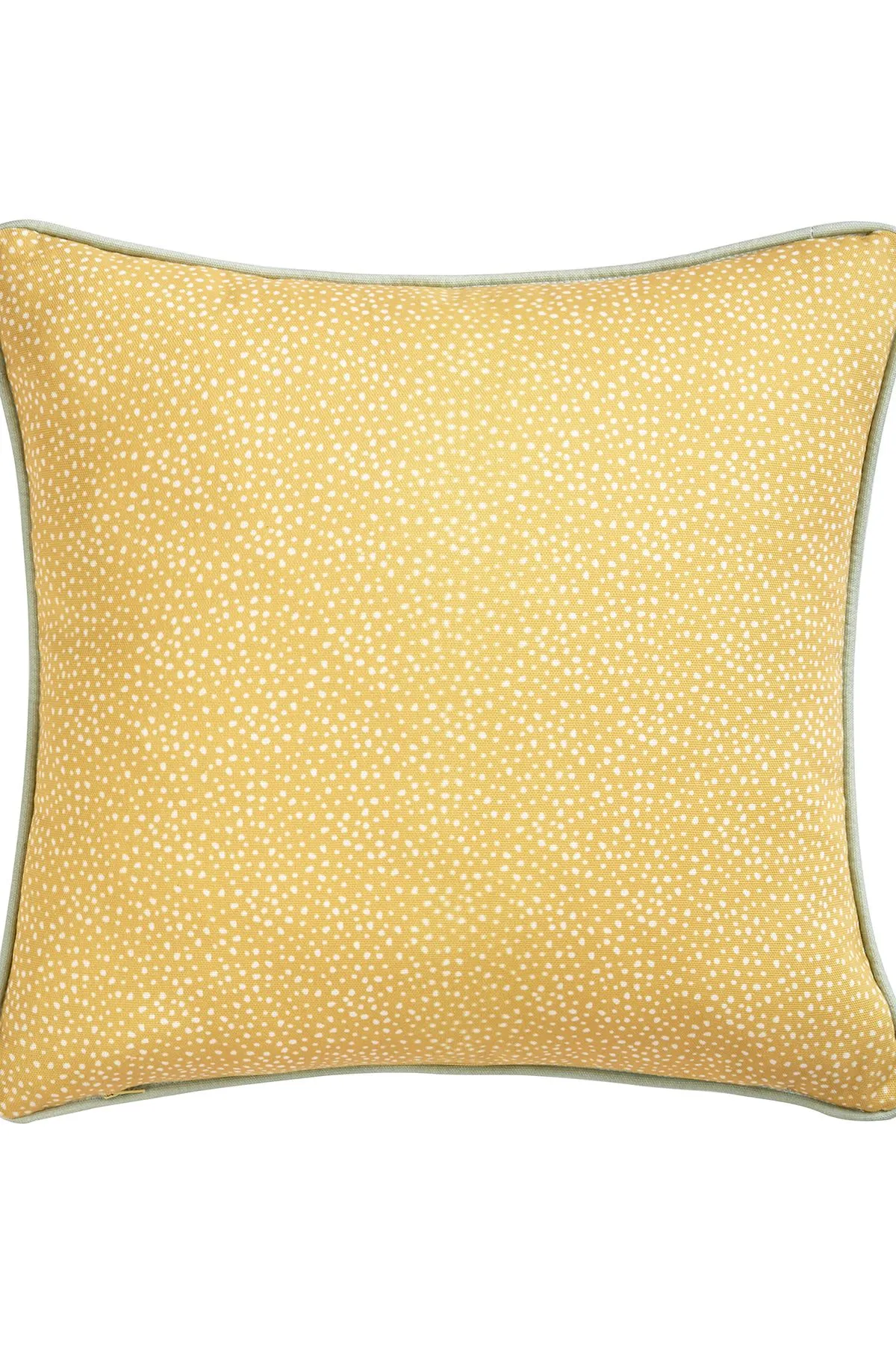 Fusion 'Daisy' Soft Touch Daisy Print Velvet Filled Cushion in Natural 3