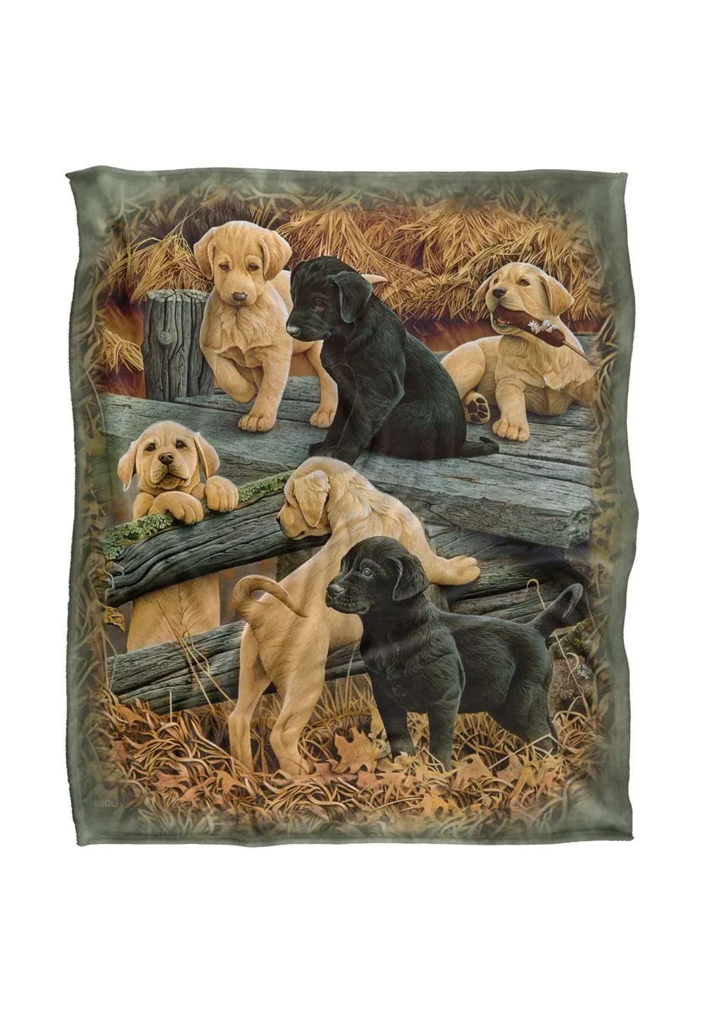 JQ Licensing Rle Labrador Pups Silky Touch Super Soft Throw Blanket 152 X 127 cm in White