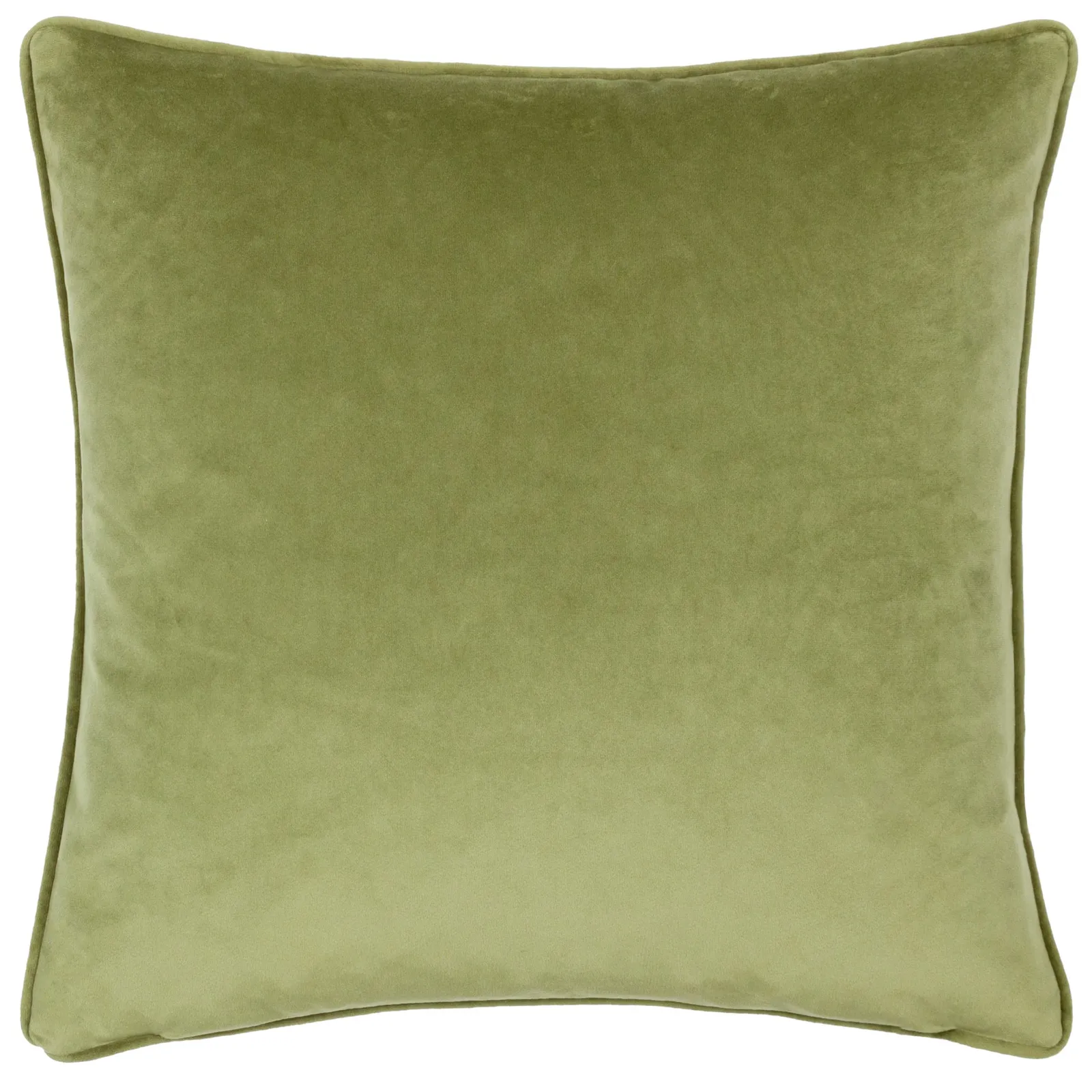 Wylder Nectar Garden Bluebird Velvet Cushion 3