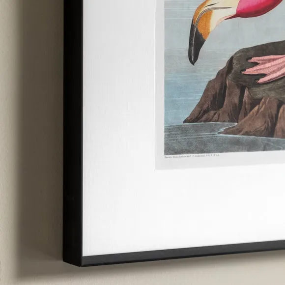 Cedar & Sage Wading Flamingo Framed Print 2