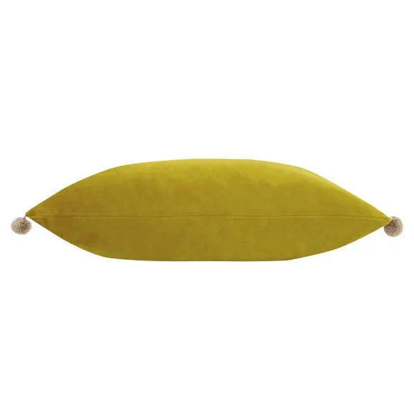 Fiesta Cushion 2