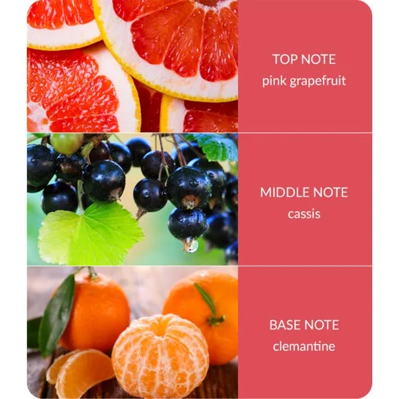 Heart and Home Pink Grapefruit & Cassis Diffuser 3