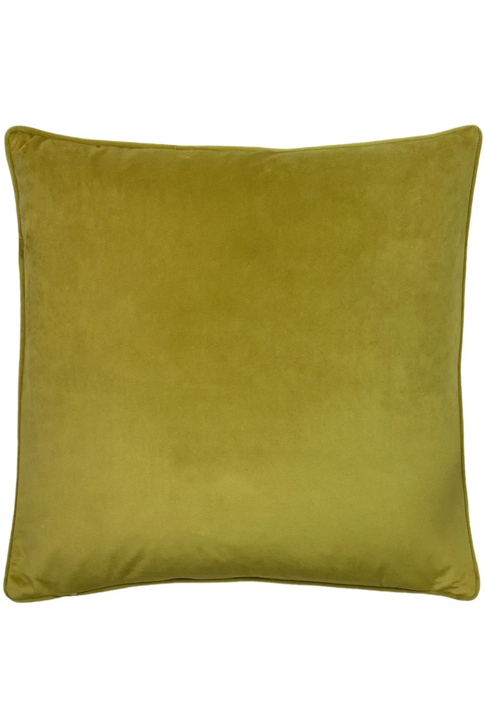 Paoletti Hortus Embroidered Bee Soft Velvet Pipe Trimmed Cushion in Olive 2