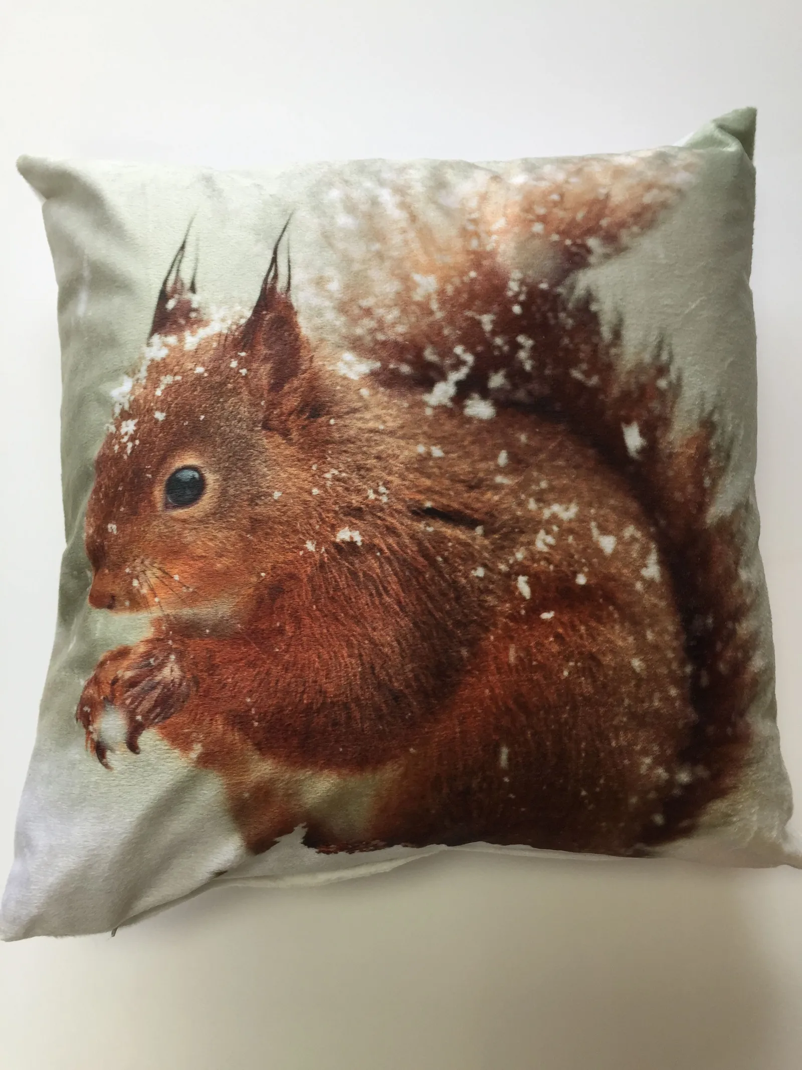 Rapport Home 43X43 Squirrel Cushion Cover 43X43