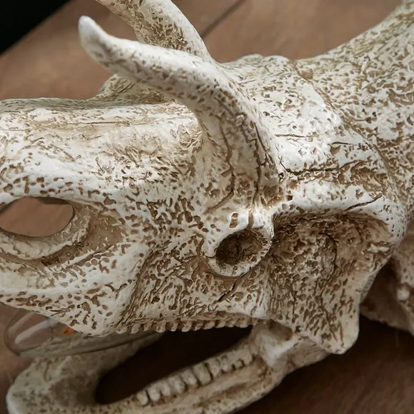 Triceratops Skull Table Lamp 3