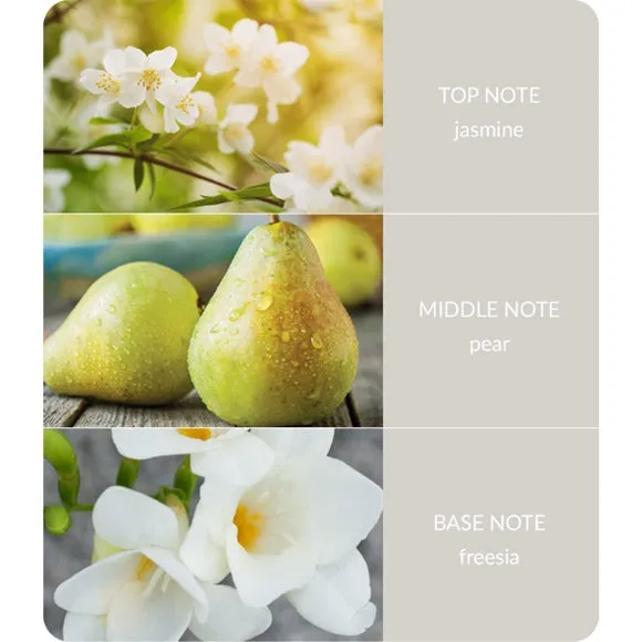 Heart and Home Ellipse White Jasmine & Freesia Multi Wick Candle 4
