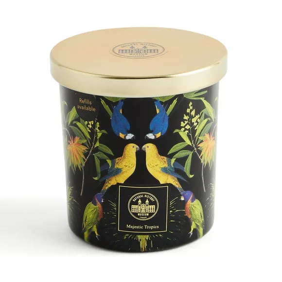 Majestic Tropics Birds Candle 4