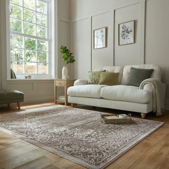Maia Traditional Distressed Rug