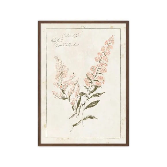 Artko Vintage Floral Whisper 1 Framed Print 3