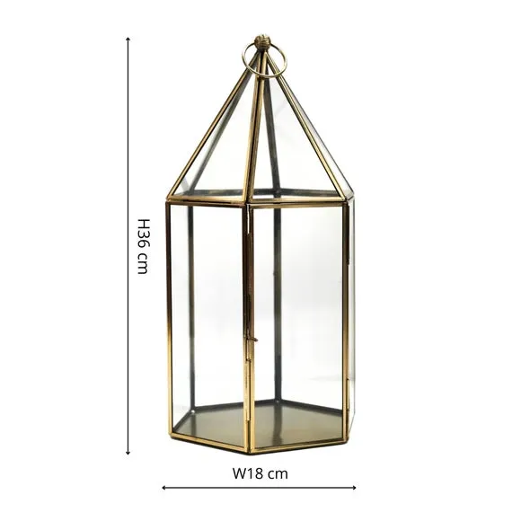 Glass House Terrarium 3