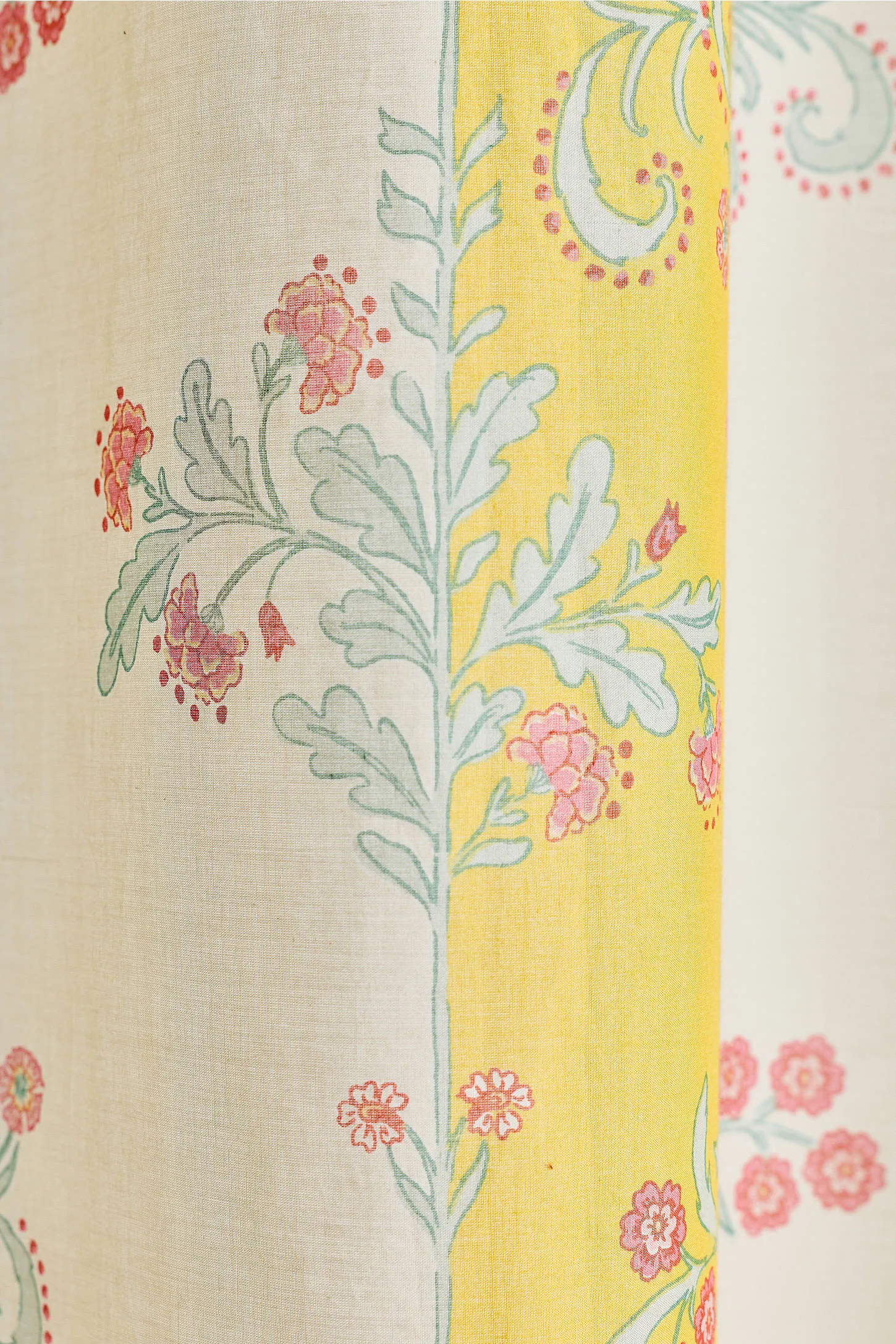 Suri Curtain 3