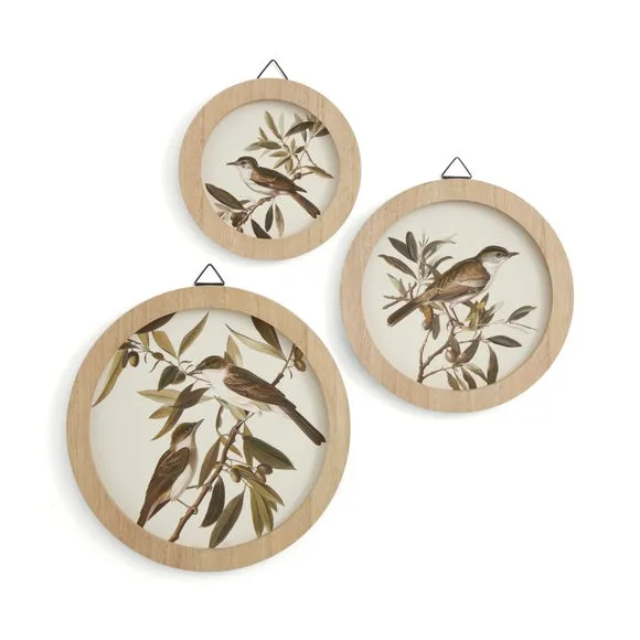 Set of 3 Birds In The Trees Circular Framed Prints 3