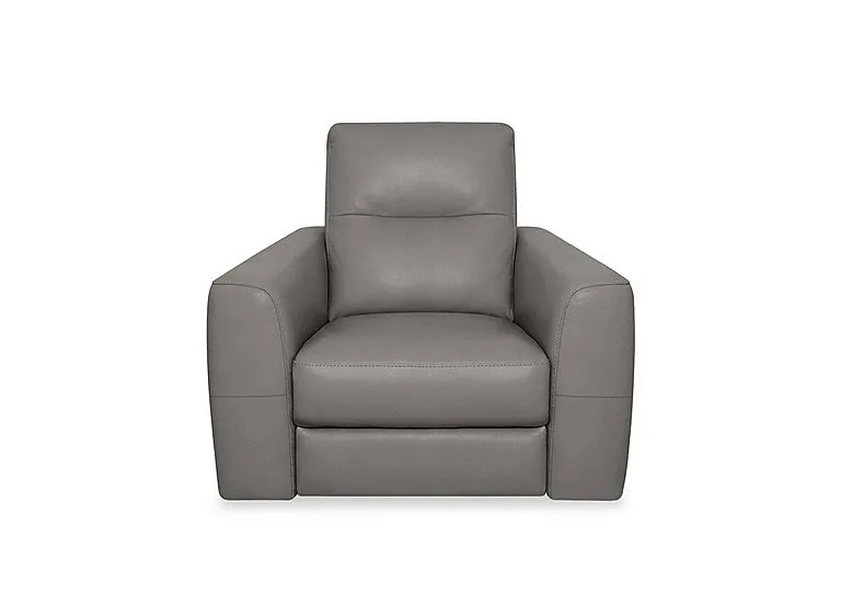 Nest NC Leather Chair - NC Elephant