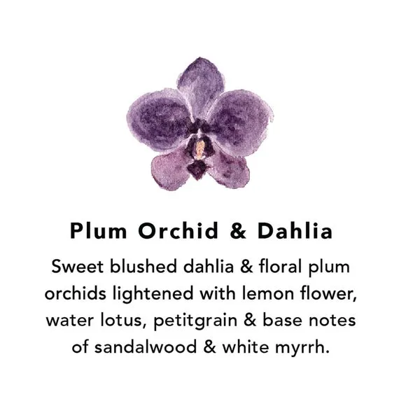 Northern Lights Set of 6 Plum Orchid and Dahlia Votive Candles 2
