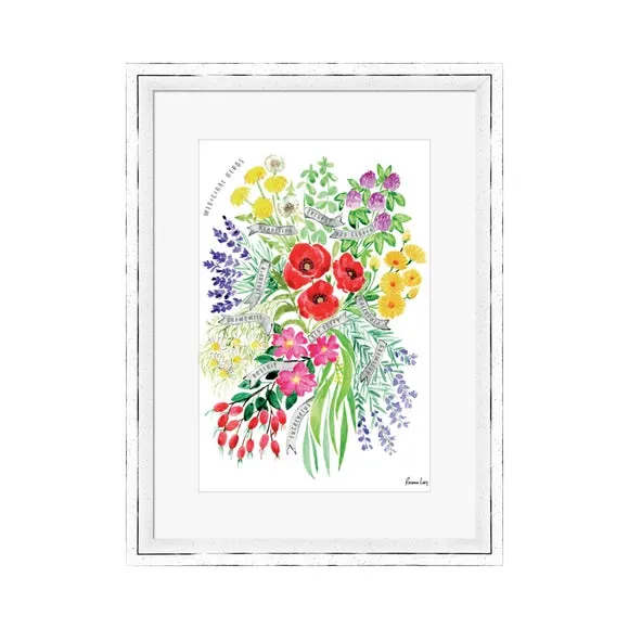 The Art Group Medicinal Herbs Watercolour Bouquet Framed Print