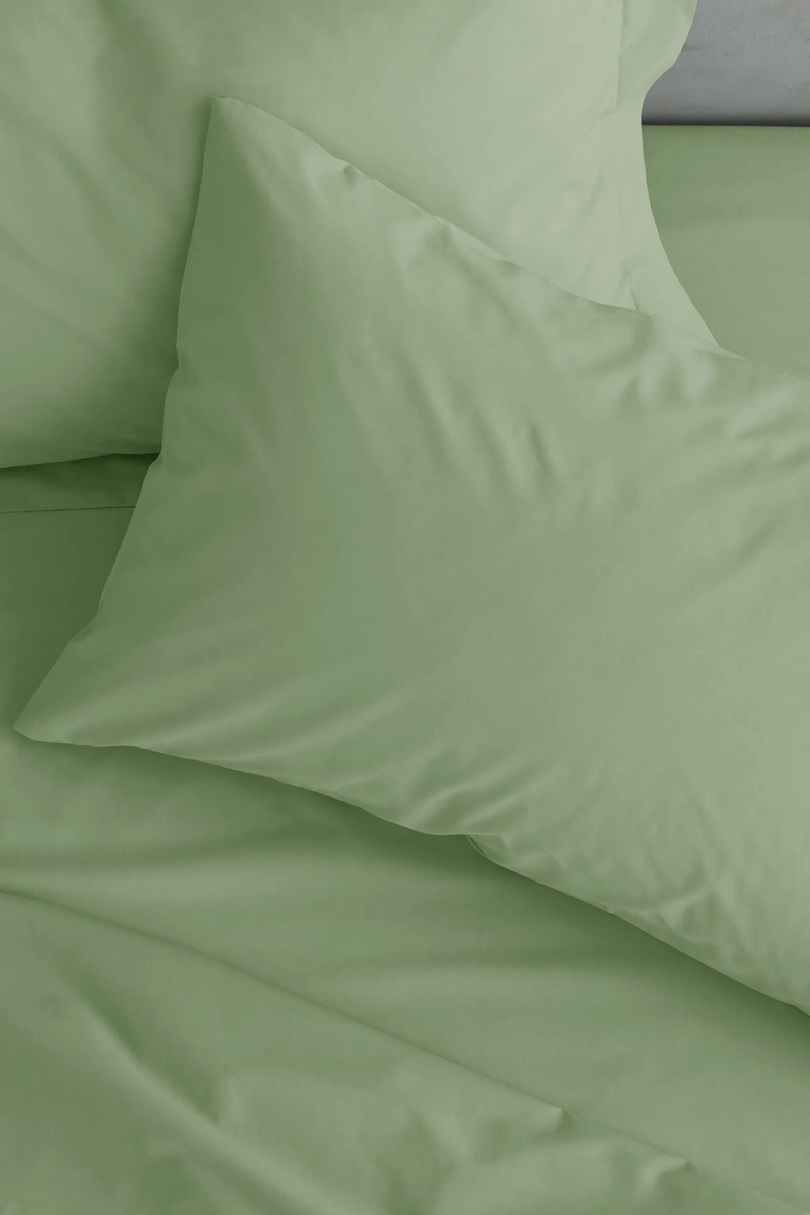 Catherine Lansfield 'Easy Iron Percale' Standard Pillowcase Pair in Light Green 1