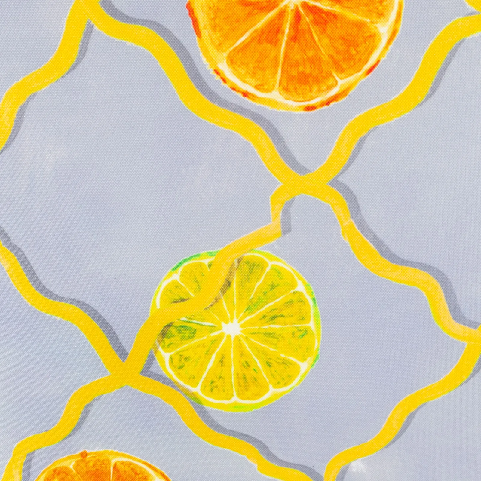 Wylder Citrus Trellis Printed Outdoor Cushion in Blue 5
