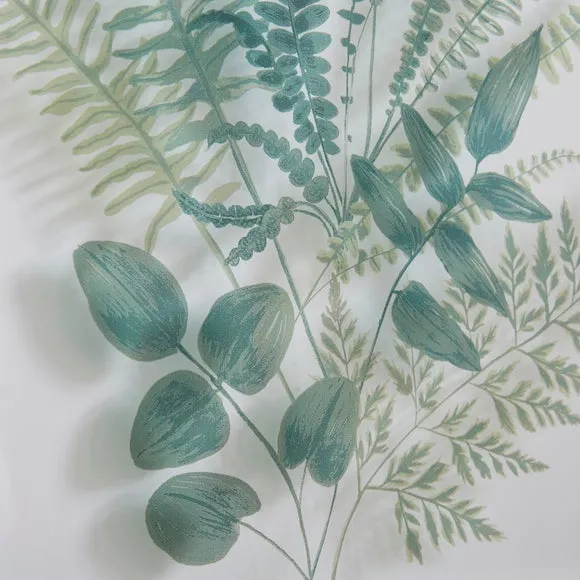 Set of 2 Fern Framed Prints 2
