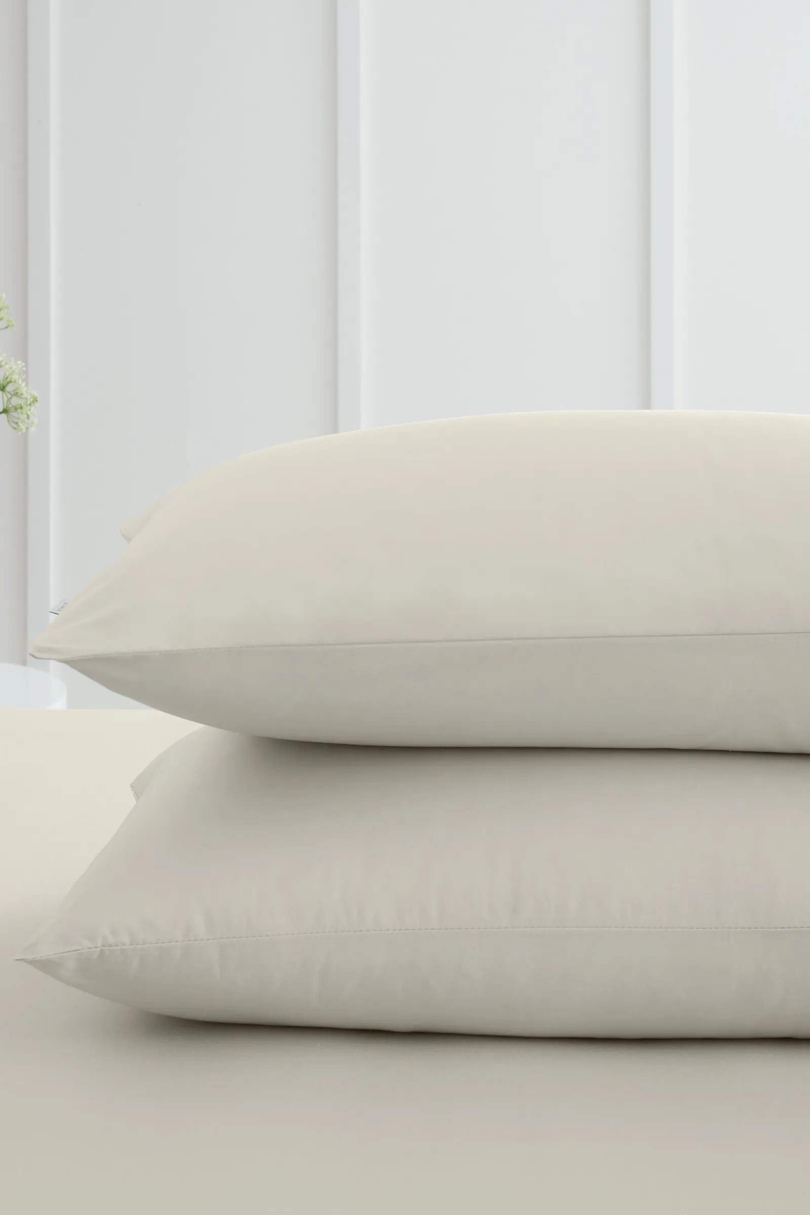 Bianca '200 Thread Count Cotton Percale' Standard Pillowcase Pair in Natural 2