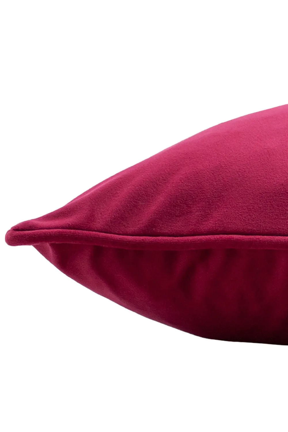Paoletti Hortus Embroidered Bee Soft Velvet Pipe Trimmed Cushion in Fuchsia 4