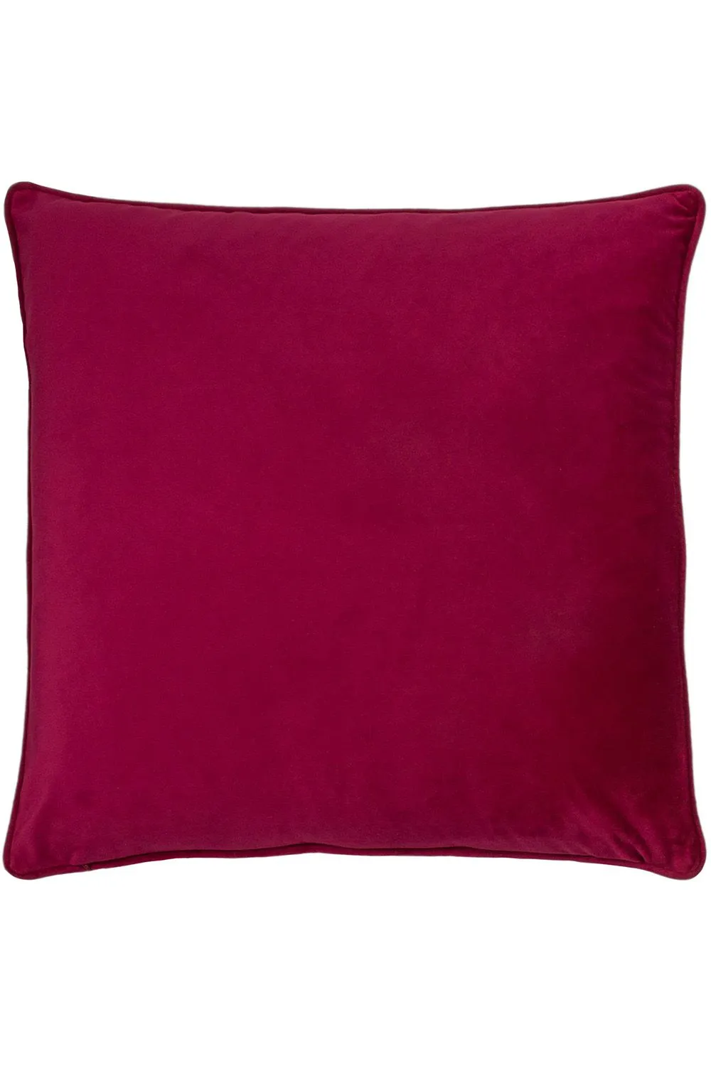 Paoletti Hortus Embroidered Bee Soft Velvet Pipe Trimmed Cushion in Fuchsia 2