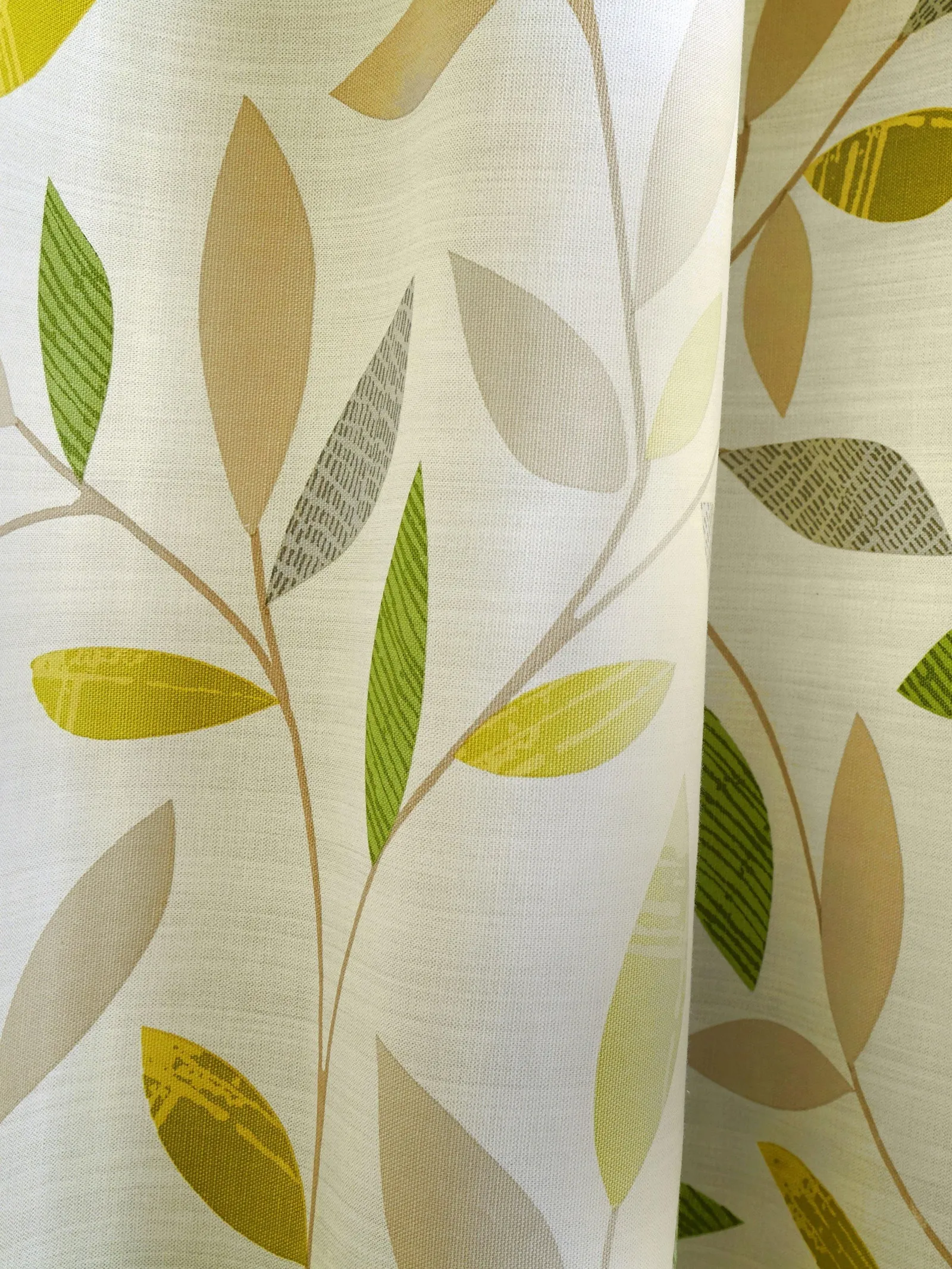 Fusion 'Beechwood' Leaf Trail Pair of 100% Cotton Eyelet Curtains in Green 3