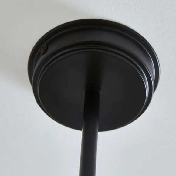 Charleston 2 Light Adjustable Diner Ceiling Light 4