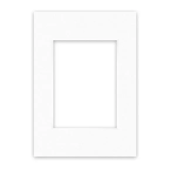 Nielsen Conservation White Picture Mount