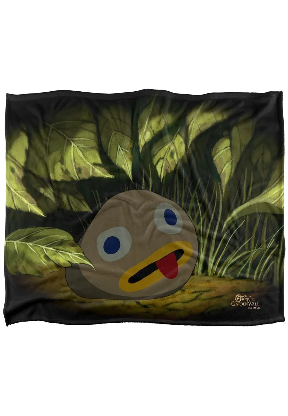 Cartoon Network Over The Garden Wall Rock Fact Silky Touch Super Soft Throw Blanket 152 X 127 cm in White