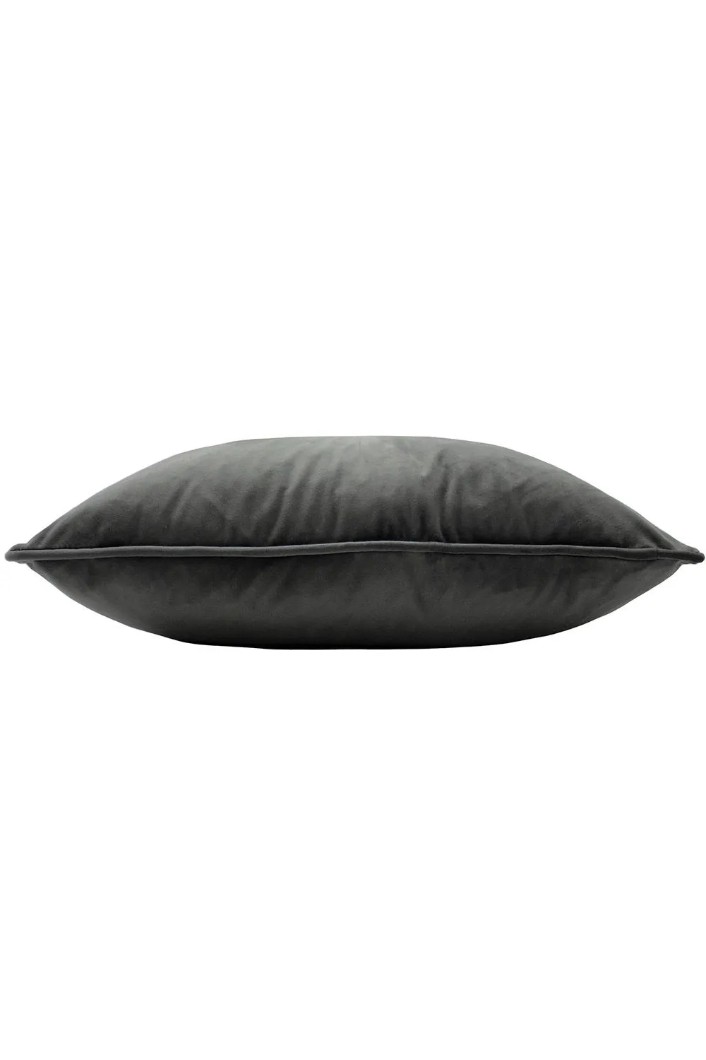 Paoletti Hortus Embroidered Bee Soft Velvet Pipe Trimmed Cushion in Charcoal 3