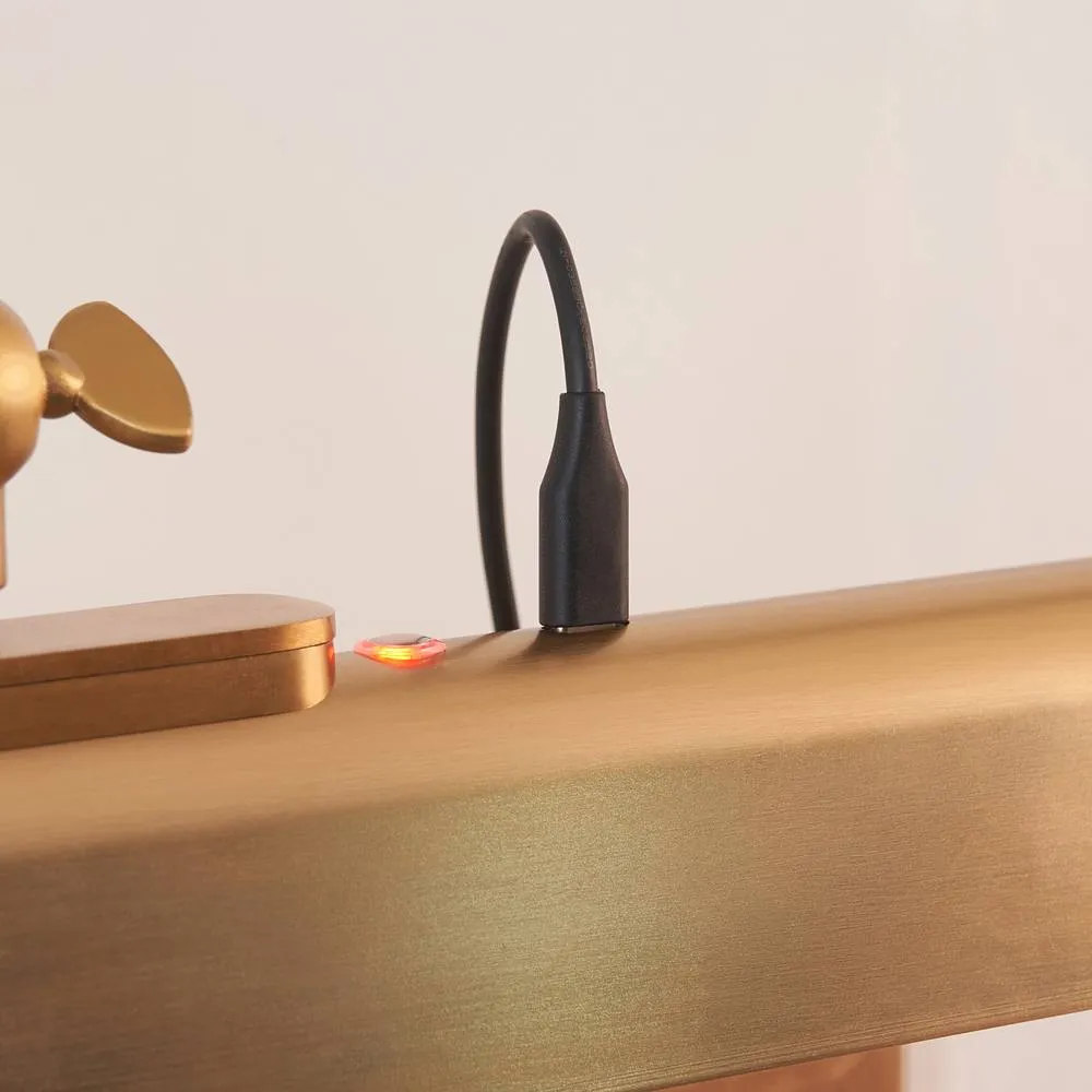 Netlighting Dalyan Rechargeable Picture Light Warm Brass Frosted Pc in Gold 6