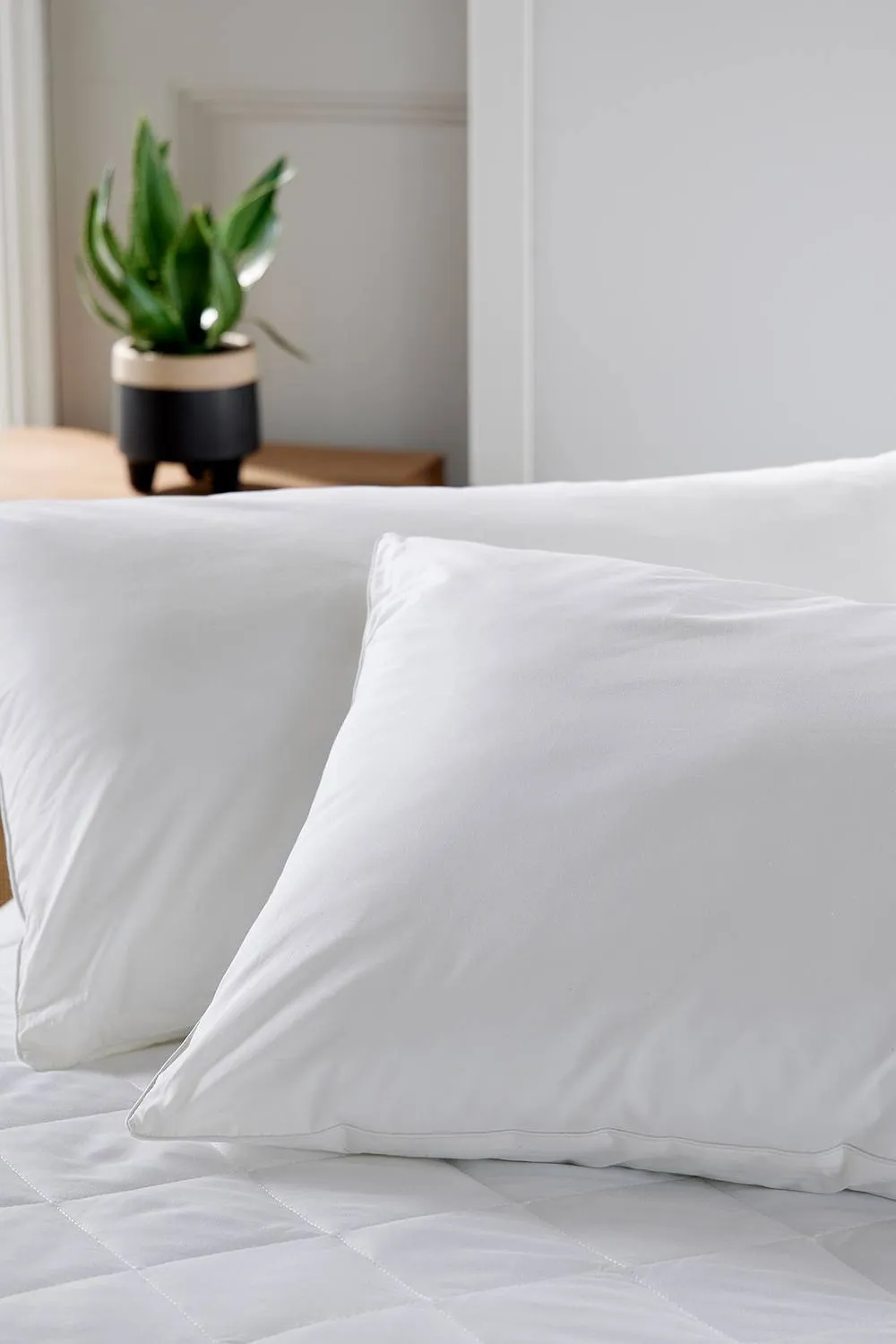 CHRISTY Classic Filled Hollowfibre Soft Medium Pillow Pair in White 4