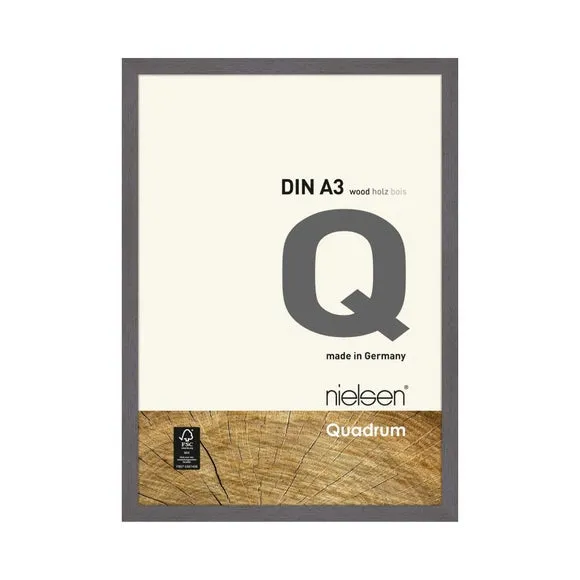 Nielsen Quadrum Photo Frame 1