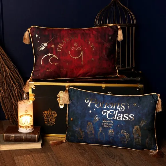 Harry Potter Alumni Potions Class Velvet Rectangular Cushion 5