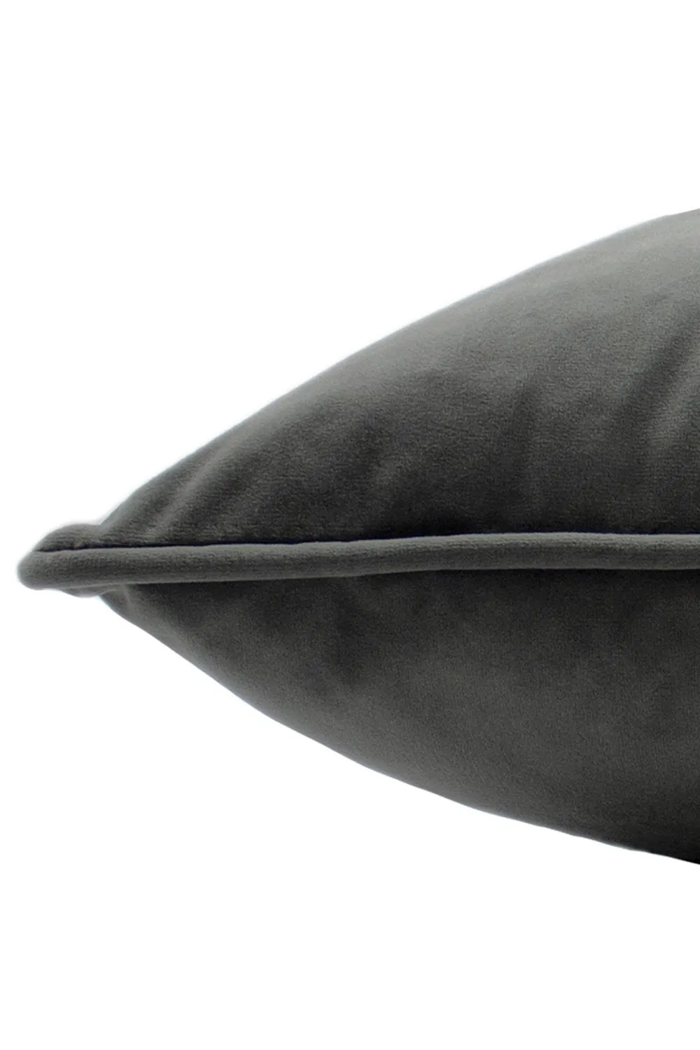 Paoletti Hortus Embroidered Bee Soft Velvet Pipe Trimmed Cushion in Charcoal 4