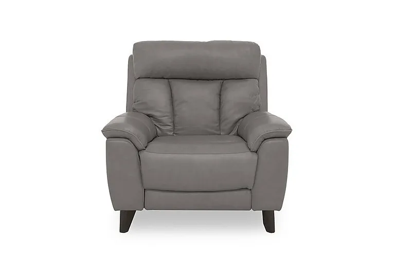 Dreamer Leather Armchair - BV Elephant