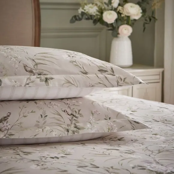 Dorma Birdsong 100% Cotton Sateen Oxford Pillowcase Pair 2