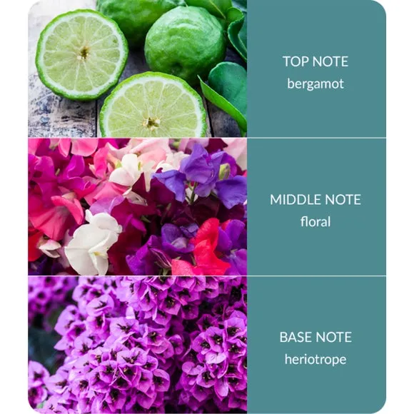 Heart and Home Sweet Pea Diffuser 3