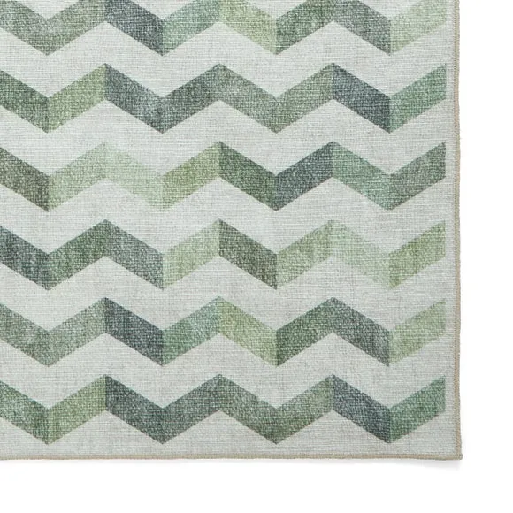 Coral H1059 Rug 5