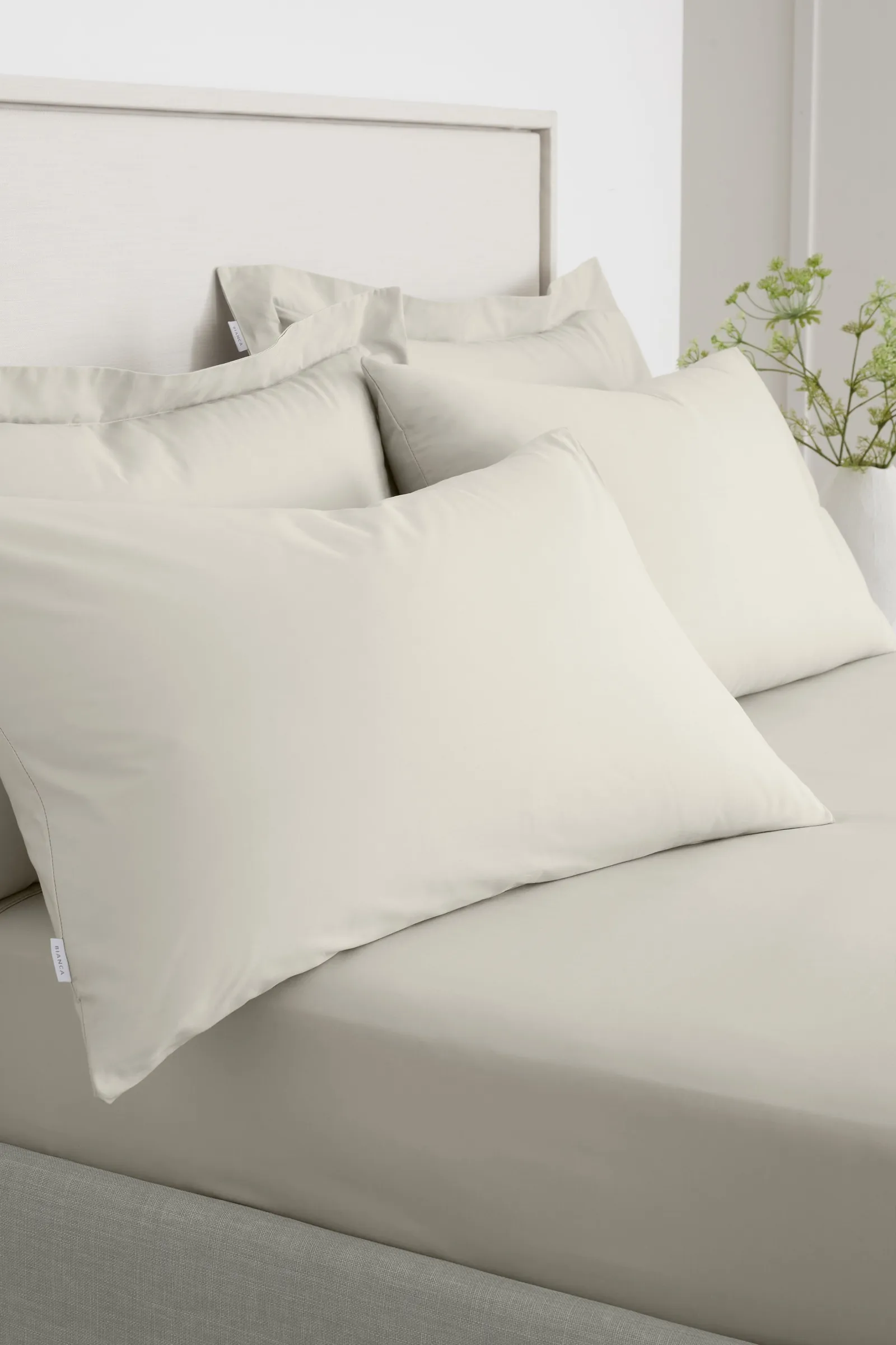 Bianca '200 Thread Count Cotton Percale' Standard Pillowcase Pair in Natural 1