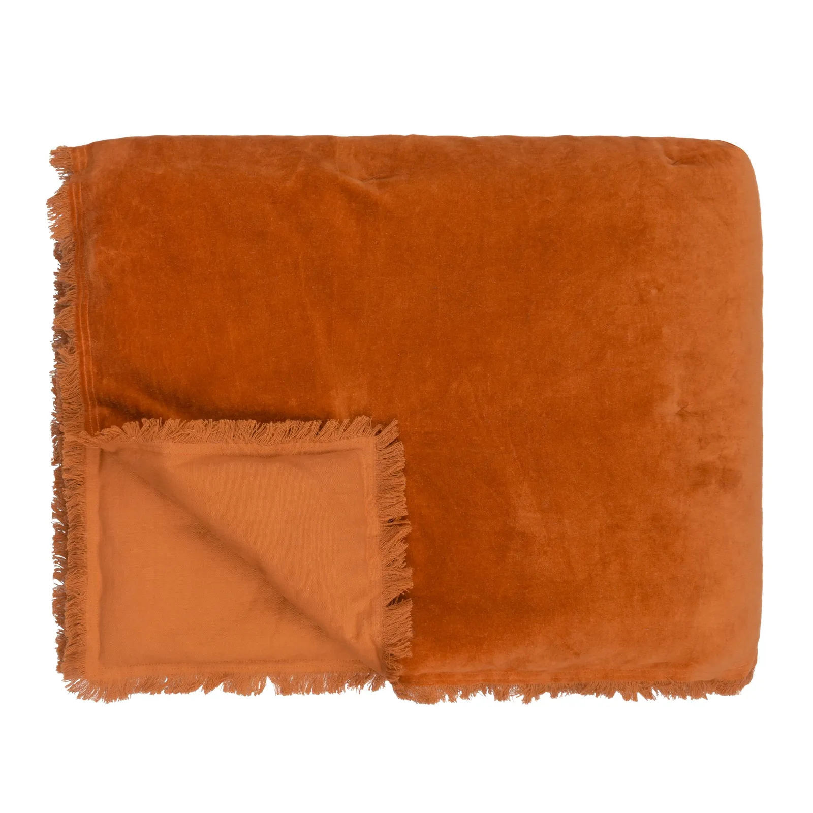 Yard Jaye Fringed Cotton Velvet Bedspread in Burnt Orange 2