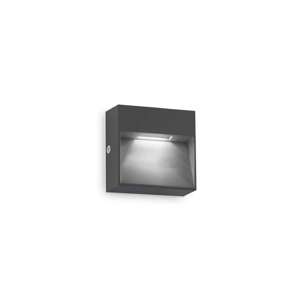 Netlighting Dedra Outdoor Square Flush Wall Lamp Anthracite 160Lm 3000K IP65 in Black