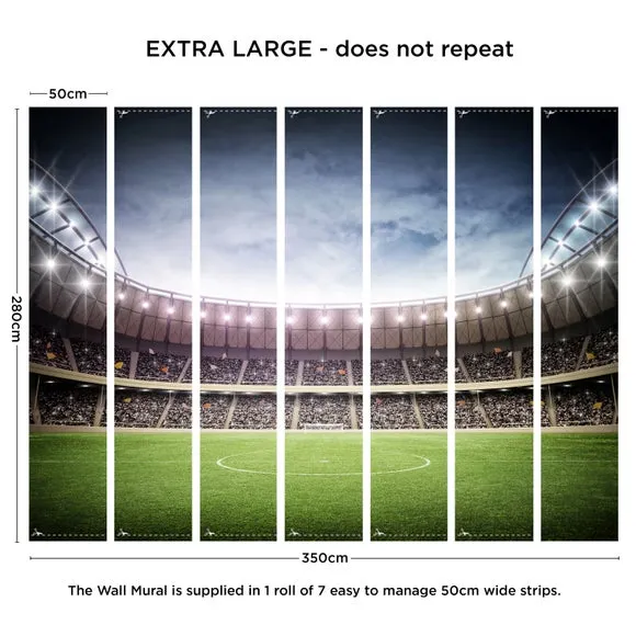 Football Stadium Wall Mural 4