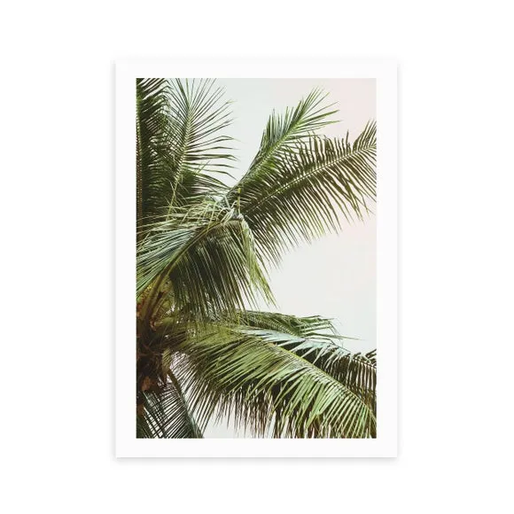 East End Prints The Palm Trees Above Me Print