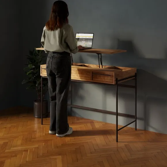 Bryant Standing Desk 3