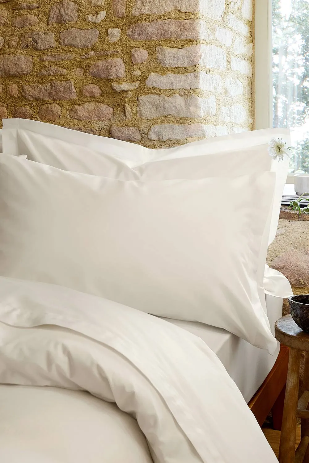 CHRISTY Pure Cotton Percale Standard Pillowcase Pair in Ivory 1